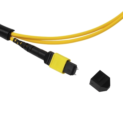 Plenum OFNP MPO Patch Cord 1m 3ft MTP-12 APC Vrouwelijk naar MTP-12 APC Vrouwelijk Single Mode OS2