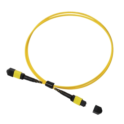 Plenum OFNP MPO Patch Cord 1m 3ft MTP-12 APC Vrouwelijk naar MTP-12 APC Vrouwelijk Single Mode OS2