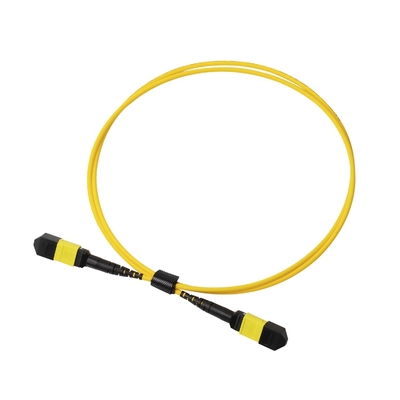 Plenum OFNP MPO Patch Cord 1m 3ft MTP-12 APC Vrouwelijk naar MTP-12 APC Vrouwelijk Single Mode OS2