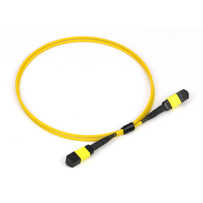 Plenum OFNP MPO Patch Cord 1m 3ft MTP-12 APC Vrouwelijk naar MTP-12 APC Vrouwelijk Single Mode OS2
