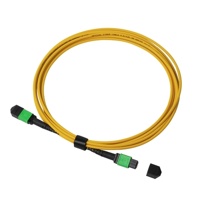 Plenum OFNP MPO Patch Cord 1m 3ft MTP-12 APC Vrouwelijk naar MTP-12 APC Vrouwelijk Single Mode OS2
