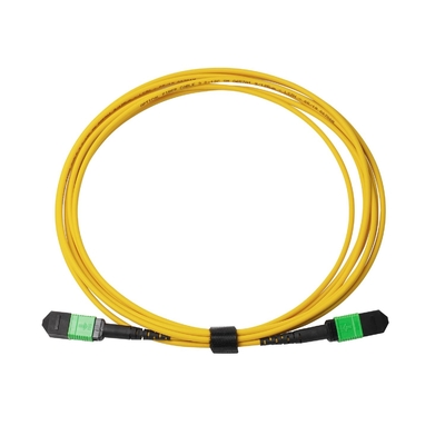 Plenum OFNP MPO Patch Cord 1m 3ft MTP-12 APC Vrouwelijk naar MTP-12 APC Vrouwelijk Single Mode OS2