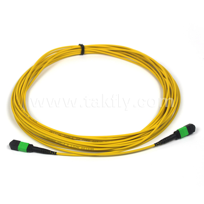 Plenum OFNP MPO Patch Cord 1m 3ft MTP-12 APC Vrouwelijk naar MTP-12 APC Vrouwelijk Single Mode OS2