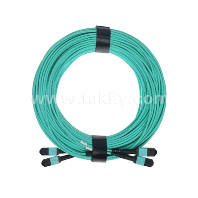 24 Core MTP Trunk Cable Glasvezel Jumper voor Data Center FTTX PVC Aanpasbaar
