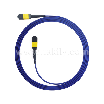 Datacentrum FTTX Glasvezelkabel MPO Patch Cord MTP Trunkkabel Gepantserde SM MM Jumper