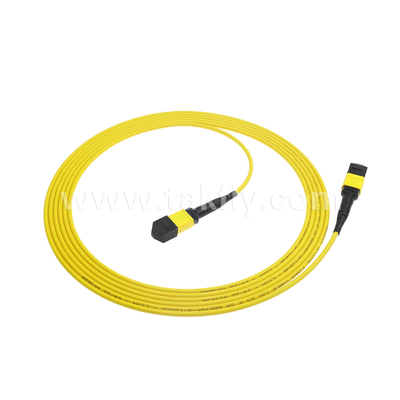 Datacentrum FTTX Glasvezelkabel MPO Patch Cord MTP Trunkkabel Gepantserde SM MM Jumper