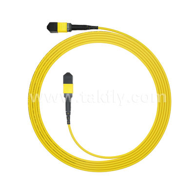 MPO/MTP Patchcord gepantserde trunkkabel SM/MM Jumper glasvezel voor datacenter AI FTTX Telecom