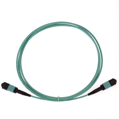 Elite Multimode OM3 50/125, Plenum OFNP Type B MPO Patch Cord 3m 10ft MTP-12 PC Vrouwelijk naar MTP-12 PC Vrouwelijk