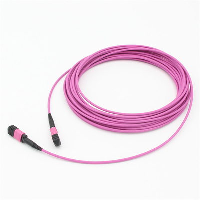 Elite Multimode OM4 50/125, Plenum OFNP Type B MPO patch cord 1m 3ft MTP-12 PC Vrouwelijk naar MTP-12 PC Vrouwelijk