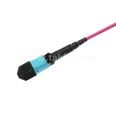 Elite Multimode OM4 50/125, Plenum OFNP Type B MPO patch cord 3m 10ft MTP-12 PC Vrouwelijk naar MTP-12 PC Vrouwelijk