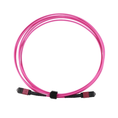 Elite Multimode OM4 50/125, Plenum OFNP Type B MPO Patch Cord 5m 16ft MTP-12 PC Vrouwelijk naar MTP-12 PC Vrouwelijk
