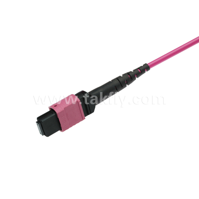 Elite Multimode OM4 50/125 Plenum OFNP Type B MPO Patch Cord 3.0mm Kabel 10m 33ft MTP-12 PC Vrouwelijk naar MTP-12 PC Vrouwelijk