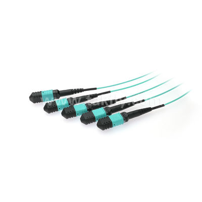 MPO/MTP Fanout Cable PLC Splitter 1x4 SM/MM Glasvezel voor Data Center FTTX