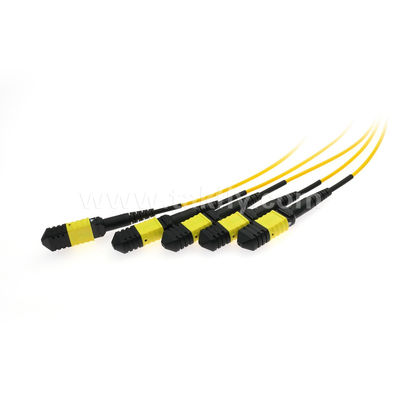 MPO/MTP Fanout Cable PLC Splitter 1x4 SM/MM Glasvezel voor Data Center FTTX