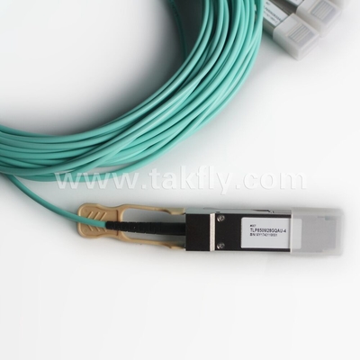 100Gb/s QSFP28 tot 4x SFP28 Breakout Active Optical Cable AOC Cable Fast Data Transfer