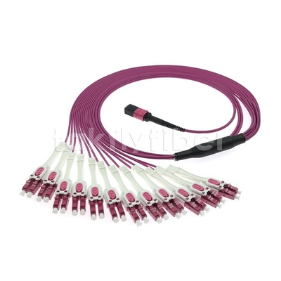 24F MTP 12x LC DX Uniboot OM4 Fiber Patch Cord voor snelle netwerken