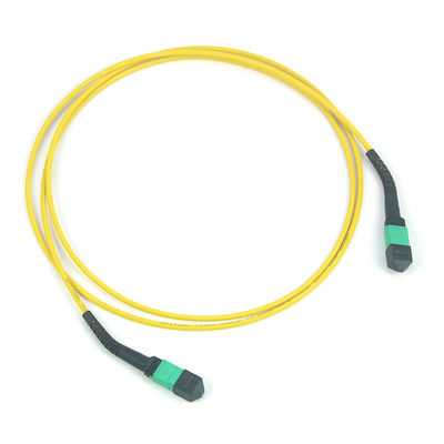 12/24/48/96/144 Cores MPO/MTP Trunk Kabel met 50/125um Fiber Modus en PVC/LSZH Buitenmantel Glasvezel Patchkabel