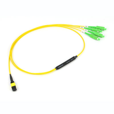 12/24/48/96/144 Cores MPO/MTP Trunk Kabel met 50/125um Fiber Modus en PVC/LSZH Buitenmantel Glasvezel Patchkabel