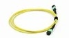 MPO-MPO Fiber Patch Cord voor Data Center 8-24 Core