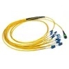 OM3 LSZH MTP Fiber Patch Cord 3m 0.35dB MPO-MPO