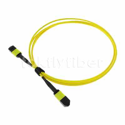 5M MTP® MPO Trunkkabel, MTP®-12 APC (Vrouwelijk) naar MTP®-12 APC (Vrouwelijk), 12 Vezels, OS2 Plenum (OFNP), 0.35dB Max