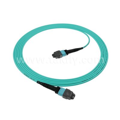 8F 12F 16F 24F MPO MTP Mannelijk Vrouwelijk OM3 OM4 OM5 Multimode Multimode Glasvezel Patchcord / Optische Glasvezel Patchkabel / Optische Breakout Kabel / Optische Glasvezel Trunk Kabel voor High Density Datacenter