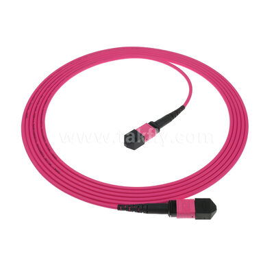 MPO MTP Man Vrouwelijk 8F 12F 16F 24F MM Multimode OM4 Glasvezel Patchcord / Glasvezel Patch Cable / Glasvezel Breakout Cable / Glasvezel Trunk Cable
