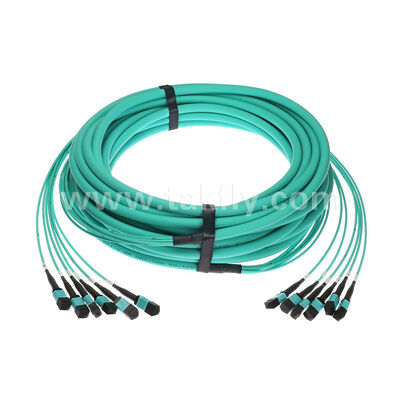 6x12F MPO MTP Manlijk Vrouwelijk 72 vezels MM Multimode OM3 OM4 Glasvezel Patchcord / Glasvezel Patch Cable / Glasvezel Breakout Cable / Glasvezel Trunk Cable / Glasvezel Fanout Cable