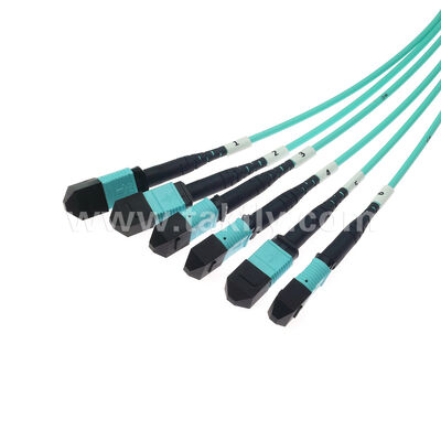 6x12F MPO MTP Manlijk Vrouwelijk 72 vezels MM Multimode OM3 OM4 Glasvezel Patchcord / Glasvezel Patch Cable / Glasvezel Breakout Cable / Glasvezel Trunk Cable / Glasvezel Fanout Cable
