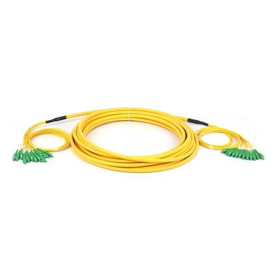 Ultra-High-Density Patch Cord: SC-LC 12F met innovatieve 2,0 mm micro-buisstructuur & Slim 12,5 mm kabel