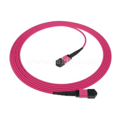 MPO/MTP Patchcord Singlemode Multimode LSZH 8f/12f/24f Glasvezelkabel voor Datacenter FTTX