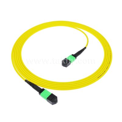MPO/MTP Patchcord Singlemode Multimode LSZH 8f/12f/24f Glasvezelkabel voor Datacenter FTTX