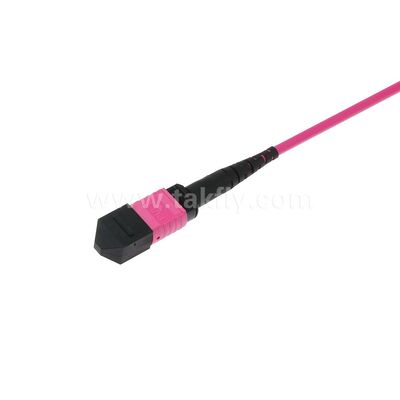 MPO/MTP Patchcord Singlemode Multimode LSZH 8f/12f/24f Glasvezelkabel voor Datacenter FTTX