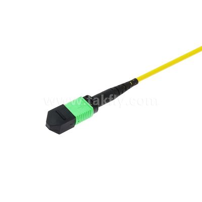 MPO/MTP Patchcord Singlemode Multimode LSZH 8f/12f/24f Glasvezelkabel voor Datacenter FTTX