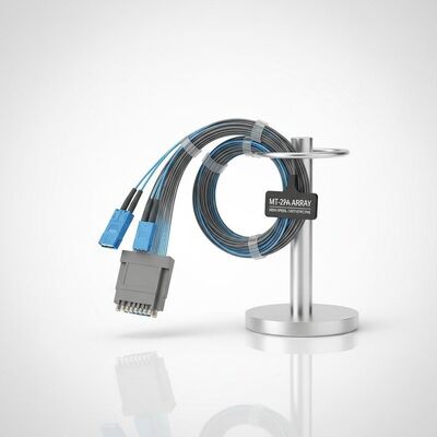 High-Speed Cost-Effective Customizable MT to FA Fiber Array Assembly voor datacentertoepassingen