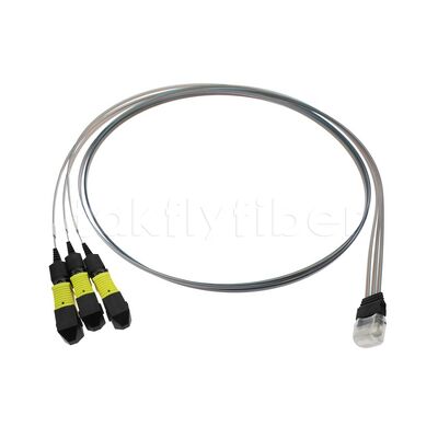 3x12F MTP - 36CH Fiber Array FA-assemblage met hoge transmissie snelheid, laag verbruik en hoge stabiliteit en betrouwbaarheid