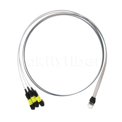 3x12F MTP - 36CH Fiber Array FA-assemblage met hoge transmissie snelheid, laag verbruik en hoge stabiliteit en betrouwbaarheid