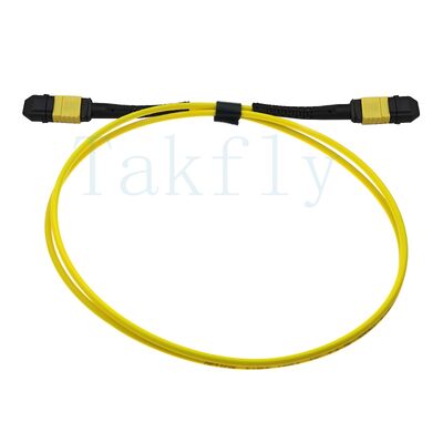 12-kern MPO APC Fanout Patch Cord   Male to Female, laag verlies