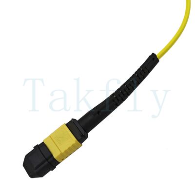 12-kern MPO APC Fanout Patch Cord   Male to Female, laag verlies