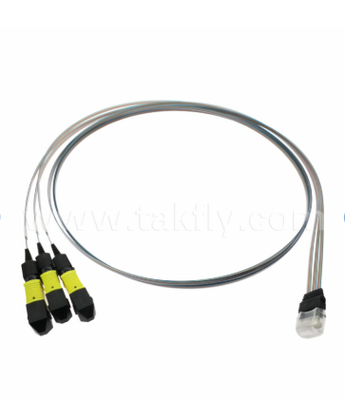 MTP 12CH×3 tot 36-kanaals glasvezelarray-assemblage – 3×12CH MTP-connectoren naar 36CH V-Groove FAU, laag invoegverlies, voor 1,6T optische transceivers en co-packaged optica (CPO)