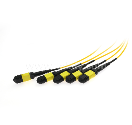 1×4 MPO/MTP SM PLC-splitter – Single-mode, 1×4 configuratie, MPO-ingang naar MPO-uitgang, laag invoegverlies (≤7,2 dB), voor datacenterbekabeling met hoge dichtheid, vooraf afgesloten systemen en FTTx-distributie
