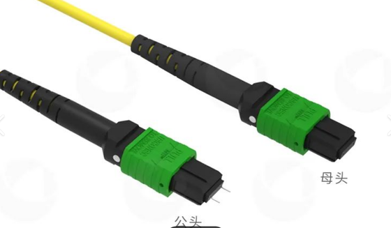 8F 12F 16F 24F MPO MTP Mannelijke Vrouwelijke SM MM Glasvezel Patchcord / Optische Vezel Patchkabel / Optische Breakout Kabel / Optische Vezel Trunk Kabel voor Datacenter met hoge dichtheid