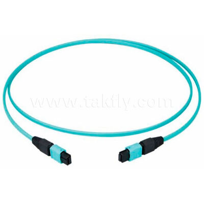 MPO MTP High-Density Multi-Fiber Patch Cord   8/12/24 Cores, Low Loss, 500 Paring Cycles, IEC & TIA Compliant