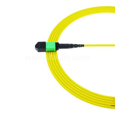 MPO MTP Patchcord SM Trunk Cable 12F Glasvezel voor Data Center AI Telecom FTTX Kabeling