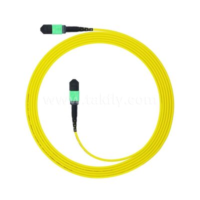 MPO MTP Patchcord SM Trunk Cable 12F Glasvezel voor Data Center AI Telecom FTTX Kabeling