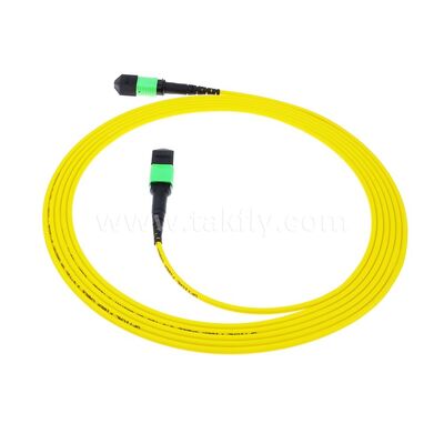 MPO MTP Patchcord SM Trunk Cable 12F Glasvezel voor Data Center AI Telecom FTTX Kabeling