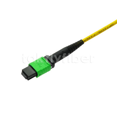 MPO MTP Patchcord SM Trunk Cable 12F Glasvezel voor Data Center AI Telecom FTTX Kabeling
