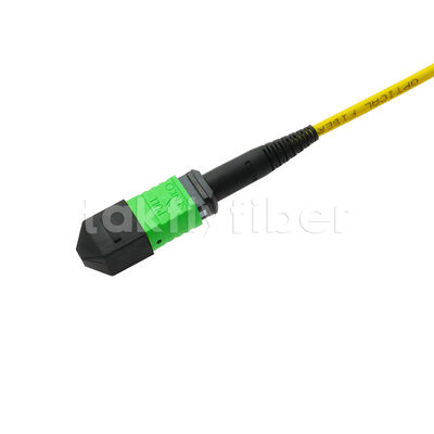 MPO MTP Patchcord SM Trunk Cable 12F Glasvezel voor Data Center AI Telecom FTTX Kabeling