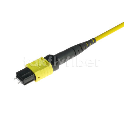 MPO MTP Patchcord SM Trunk Cable 12F Glasvezel voor Data Center AI Telecom FTTX Kabeling