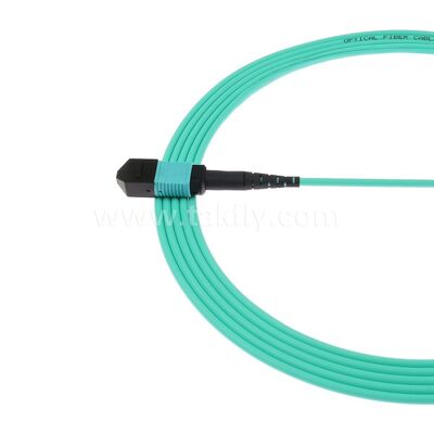 MPO MTP Patchcord Multimode OM3 Trunk-kabel 12F glasvezel voor datacenter AI Telecom-bekabeling